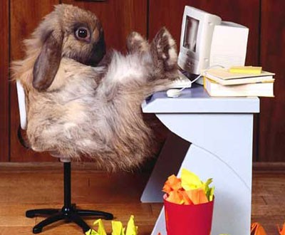 Osterkicken mit der Zweiten