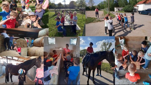 Unsere F2-Junioren im Reitsportzentrum