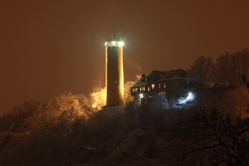 Vereinsweihnachtsfeier 2013